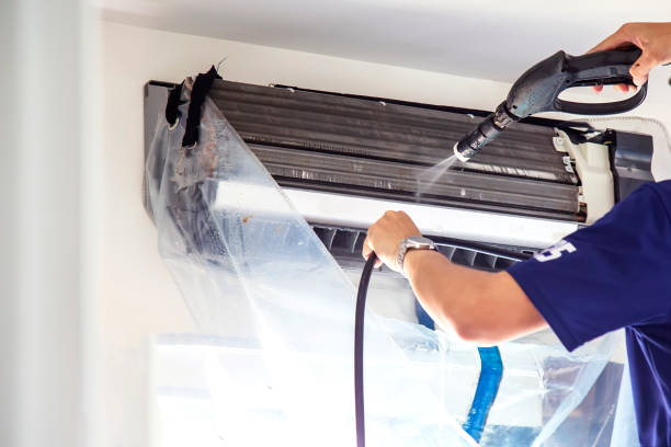 Best Air Duct Mold Removal  in Yarmouth Port, MA