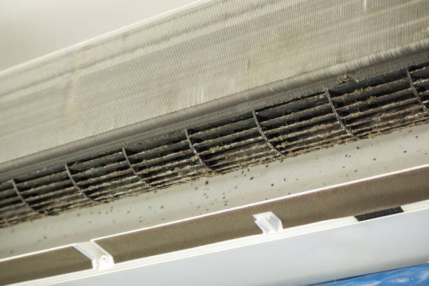 Best Affordable Duct Cleaning Services  in Yarmouth Port, MA